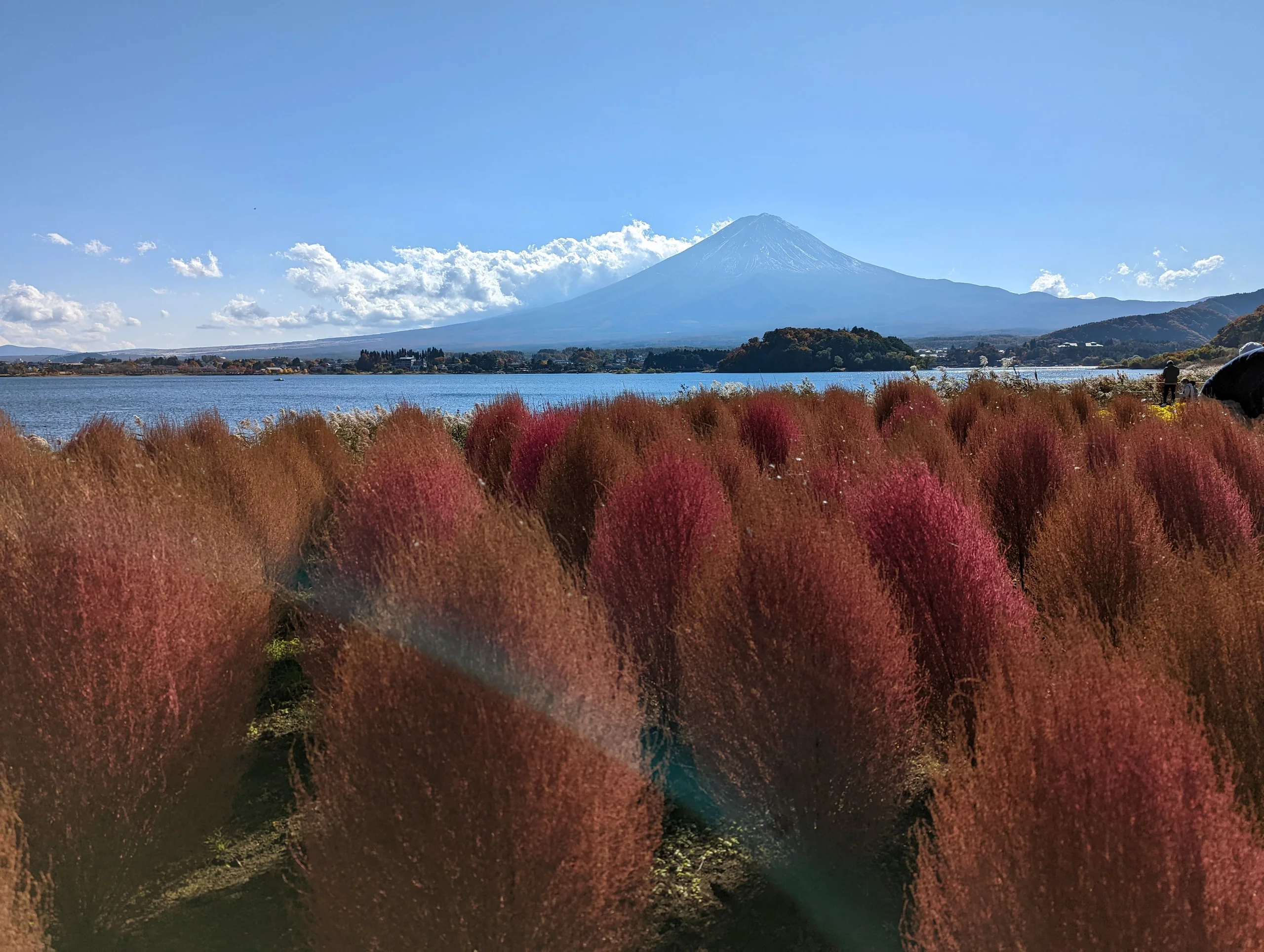 大石公園